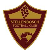 斯泰伦博斯